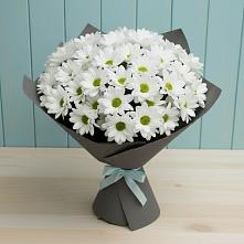 Букет цветов из:  Хризантемы #REPLACE_PRED# Видном