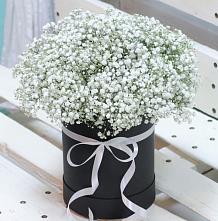 Цветочная композиция из Гипсофила в шляпной коробке #REPLACE_PRED# Видном