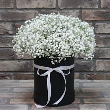Цветочная композиция из Гипсофила в шляпной коробке #REPLACE_PRED# Видном
