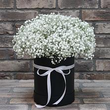 Цветочная композиция из Гипсофила в шляпной коробке в Видном