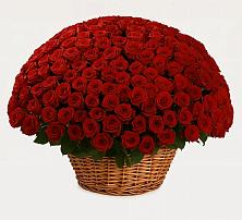 Премиум букет из: Розы в Видном